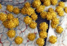 Testy odróżniające koronawirusa od grypy